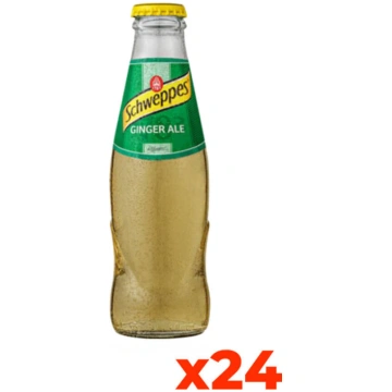 Schweppes Ginger Ale - Confezione cl. 18 x 24 Bott