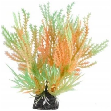 Aqua Natura, Augs, Dekorēšanai Akvārijs, Mint-oran