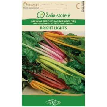 LAPU BIETES (MANGOLDI) BRIGHT LIGHTS Žalia stotelė