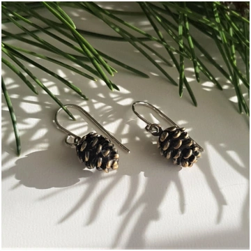 Bronze earrings