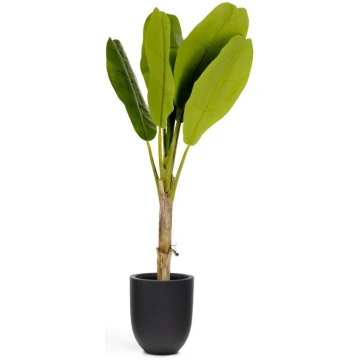 Mākslīgā palma (augstums 160 cm) Baa – Kave Home
