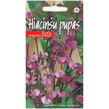 Hiacinšu pupas sēklas 5gb Kurzemes sēklas