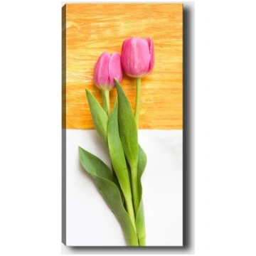 Reprodukcija Tulpes