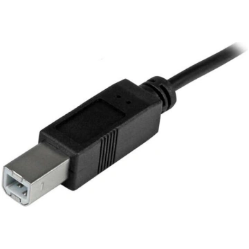 STARTECH USB-C uz USB-B kabelis 2 m - USB Type-C u