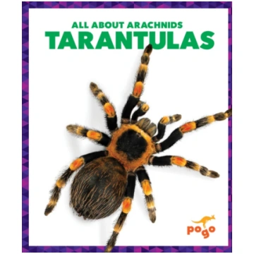 Tarantulas Chanez