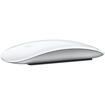Apple Magic mouse Office Ambidextrous RF Wireless 