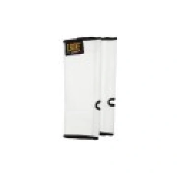 Leone cavigliere bianche