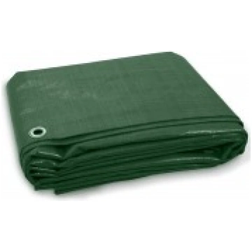 Tents 2x3 m (695340)