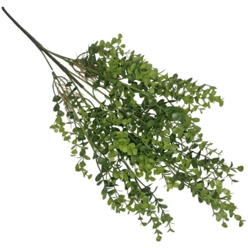 Eikalipta pušķis H54cm