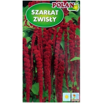 Astainais amarants SZARLAT ZWISLY 2 g Polan 12/202