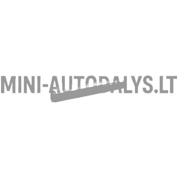 Galvenais variatora pārnesumkārbas atslēga Mini Au