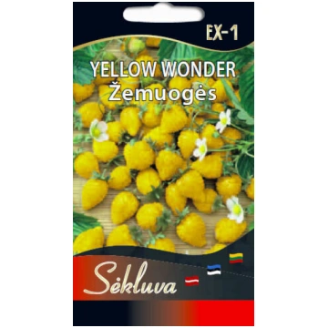 Dzeltenās zemenes YELLOW WONDER, 0.1 g sėkluva