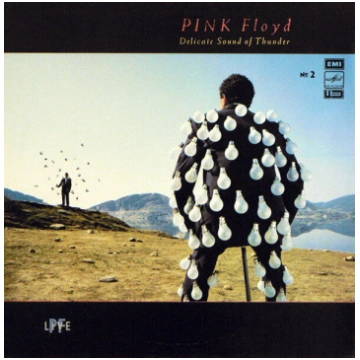 Lietots - Pink Floyd - Delicate Sound Of Thunder №