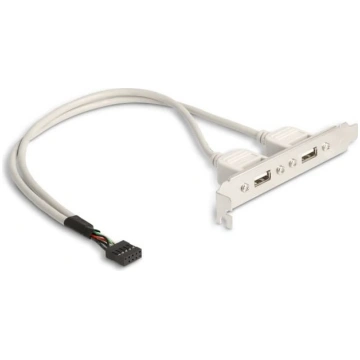 Kronšteins 2xUSB2.0 -> 1xUSB9pin iekšējs, 0.3m, De