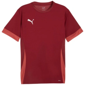 Vīriešu krekli Puma teamGoal Matchday Jersey bordo