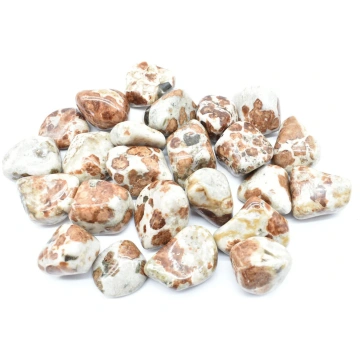 Orange Grossular Garnet in Tumbled Matrix Minerals