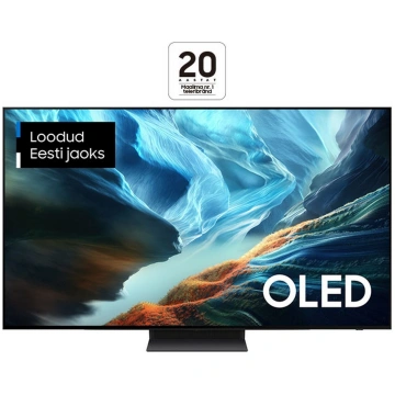 Samsung QE48S90HAEXXH 4K OLED 925003142 (880609795