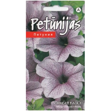 Petūnijas brigitta f1 Kurzemes sēklas