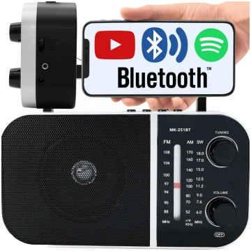 RTO Mobilais virtuves radio bluetooth tīkla/akumul