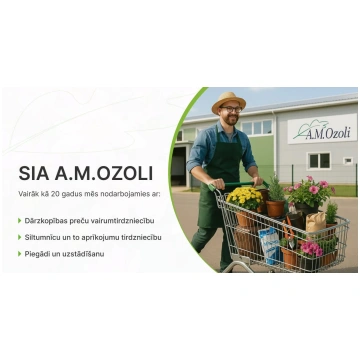 Lavandula intermedia Grosso | A.M. ozoli