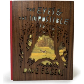 Eyes and the Impossible Dave Eggers