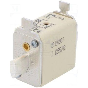 Fuse: fuse | quick blow | 80A | 500VAC | ceramic,i