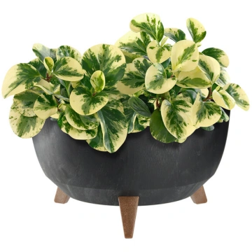 Puķu pods Puķu pods 40 cm vāks + ieliktņa kājas Ko