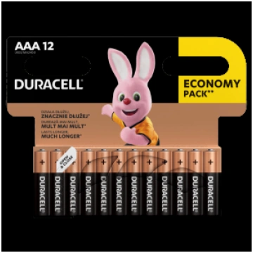Baterija DURACELL Basic AAA 12 gab./iepak. 250-058