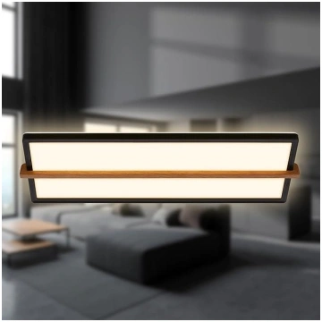 BRILONER - LED griestu lampa ar koka paneli, netie