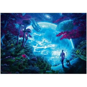 Puzle Schmidt Cameron Gray Sky Fantasy, 1000 gab