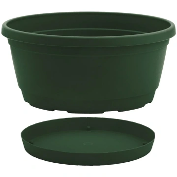 Plastmasas pods ar šķīvi RUMBA, zaļā krāsa, 25 x 1