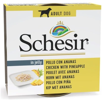 Agras Pet Foods Schesir pieaugušo augļu vistas fil