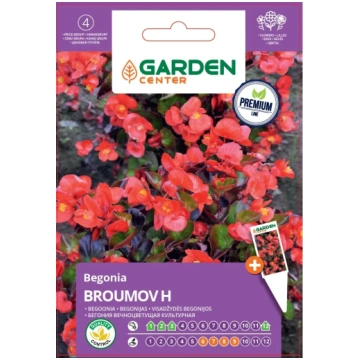 Sēklas Garden Center begonijas BROUMOV H, 7 g