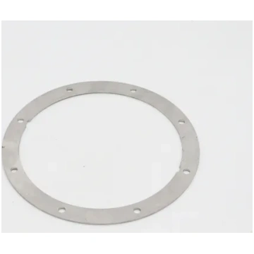 Vn5000 Ss Plate For Wash Pump Maxima