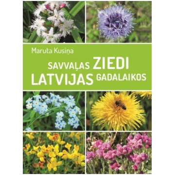 Savvaļas ziedi Latvijas gadalaikos