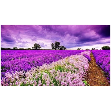 SuperPower® Romantiska 1000 gabaliņu violeta debes