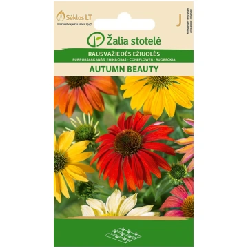Ehinācijas AUTUMN BEAUTY 1g Darzinam.lv
