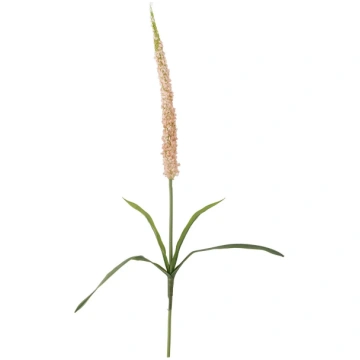 Bloomingville - Foxtail Stem - izmērs H73CM