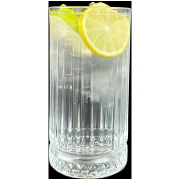 Gin & Tonic