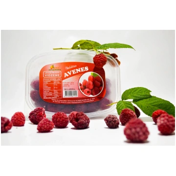 AVENES (saldētas) - 200g