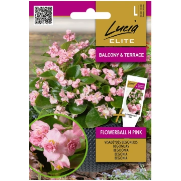Sēklas Begonijas FLOWERBALL H PINK 30s (LE) 477016