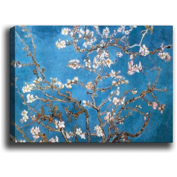 Reprodukcija Sakuras