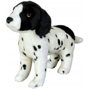 Dubi angielski pointer 28cm 32157 | 5905965332157 
