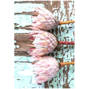 Peppermint Protea Tea Towel Light Hearted