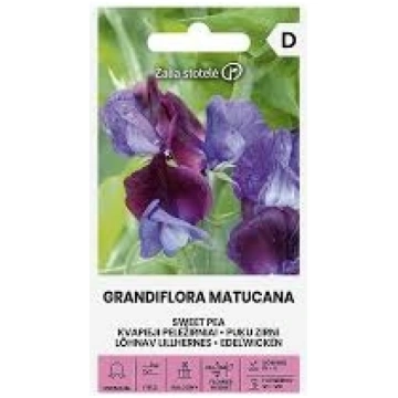 Puķuzirņi Grandiflora Matucana 2g