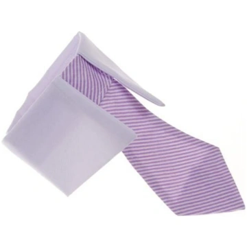 Kakla lakats mājdzīvniekam Amibelle, violets, 31 c