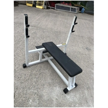 Technogym Bench press isotonic line