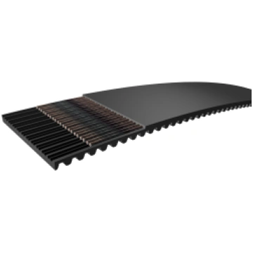 PHG 655-5M-15 Zobsiksna 655x15 SKF