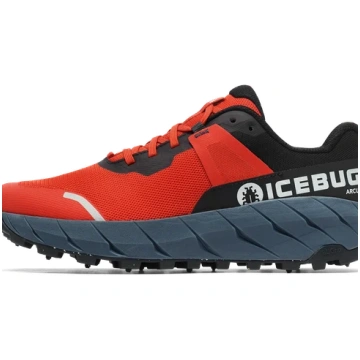 US 11 Icebug