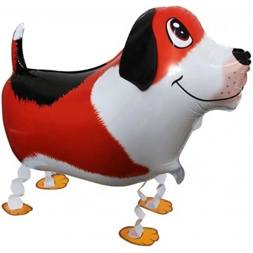 Bīgls, Staigājošs, (61 cm) Falali BP-72338